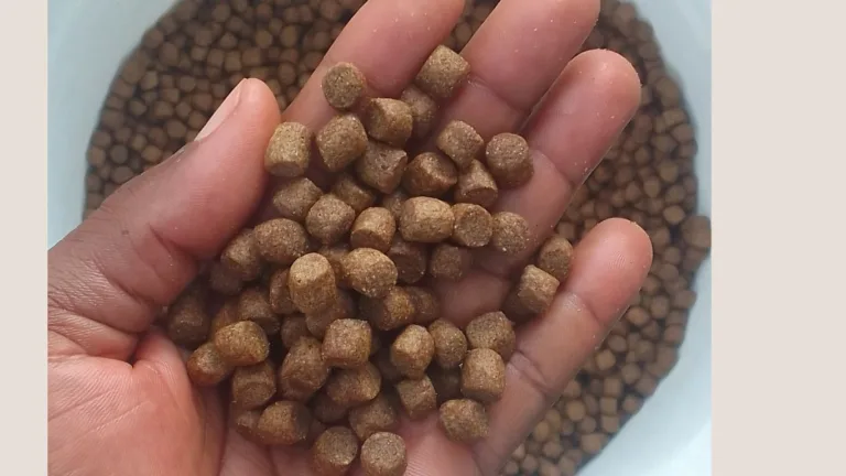 Floating pelleted fish feed