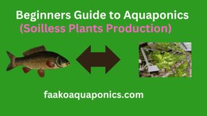 A comprehensive Guide to Aquaponics for beginners