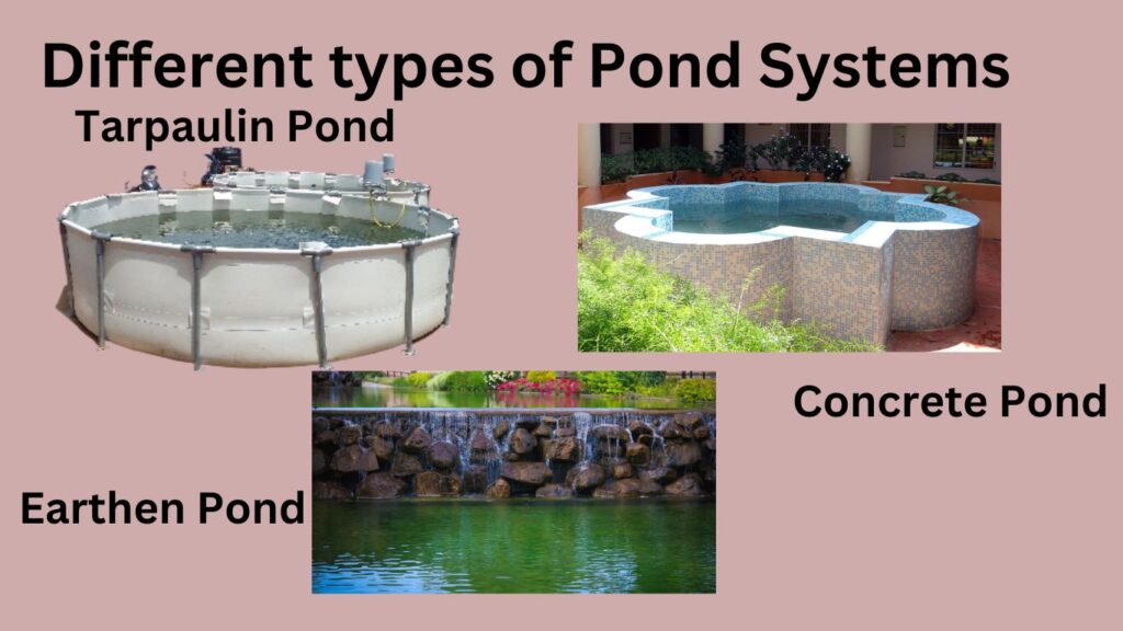 types of fish pond for DIY Fish farming
