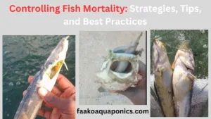 fish mortality control measures, causes of fish mortality, and types of fish mortality