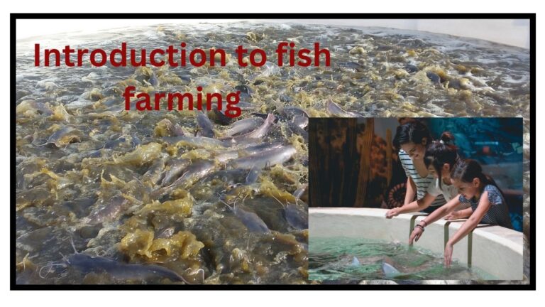Introduction to Fish Farming and Aquaculture