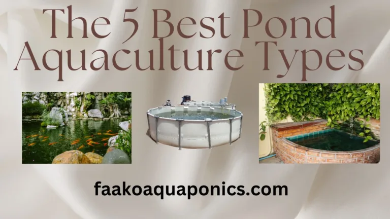 5 best types of fish ponds