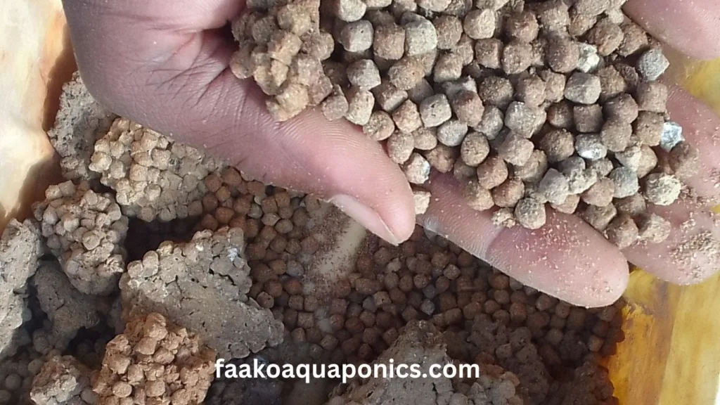 Spoiled pelleted fish feed
