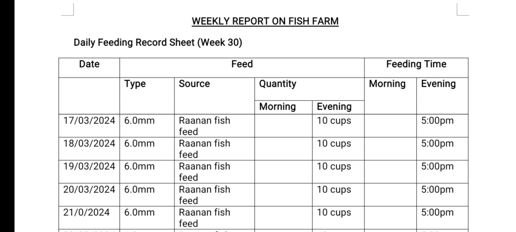 Daily Feeding Record Sheet in MS word