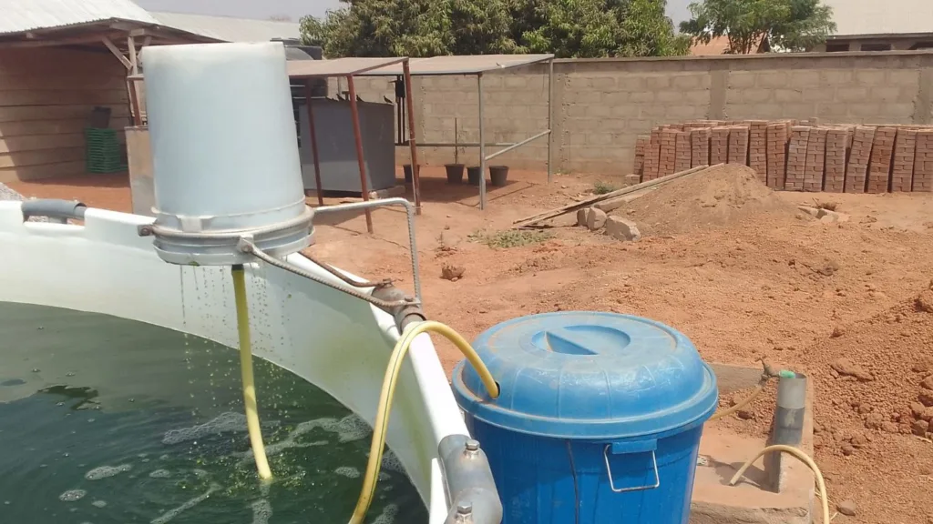 Recirculating Aquaculture System,  Filtration system for DIY