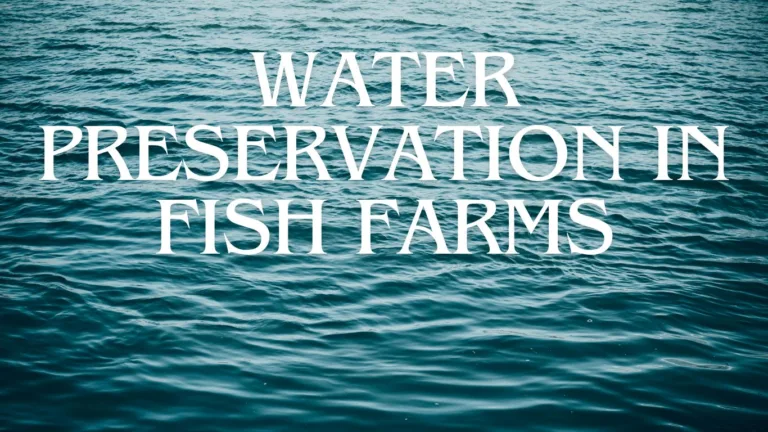 Water Preservation in fish farm