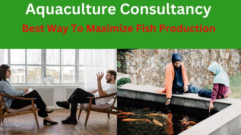aquaculture consultancy