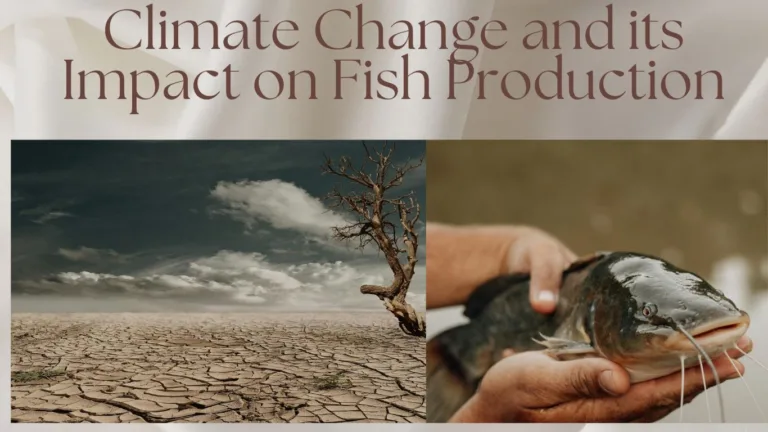 climate change in fish farming