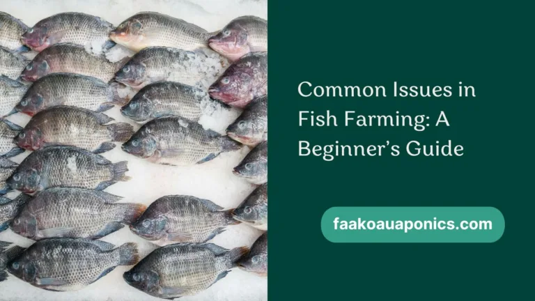 troubleshooting common problems in fish farming