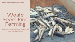 Waste From Fish Farming