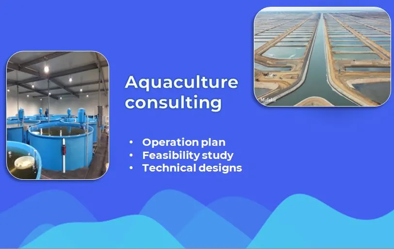 aquaculture consultancy 