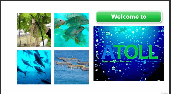 Atoll aquaculture course