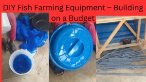 DIY Fish Farming Equipment – Building on a Budget