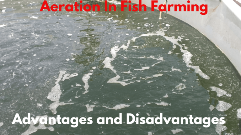 Aeration in fish farming