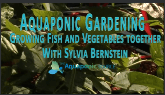 aquaponic gardening course