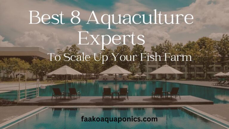 Best Aquaculture Experts