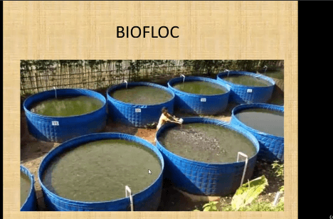How Set Up Biofloc System For Fish Farm course
