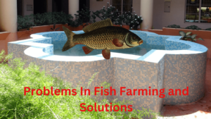 Problems In Fish Farming
