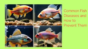 fish diseases and prevention preventions