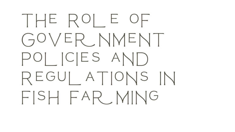 The role of government policies and regulations