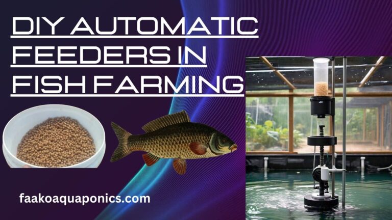 DIY Automatic Feeders in Fish Farming