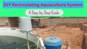 DIY Recirculating Aquaculture System