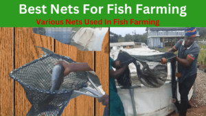 best nets for fish farming