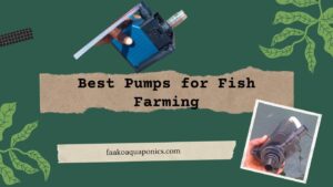 Best Pumps for Fish Farming