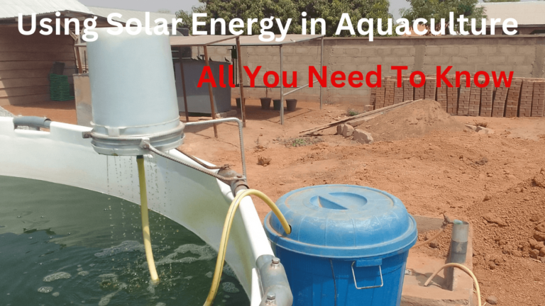 Using Solar Energy in Aquaculture