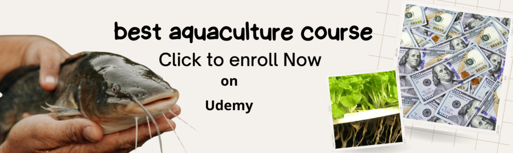 best aquaculture course