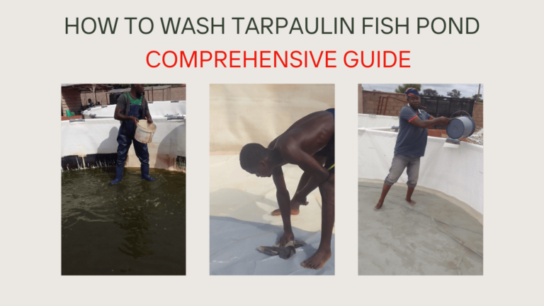 how to wash fish pond