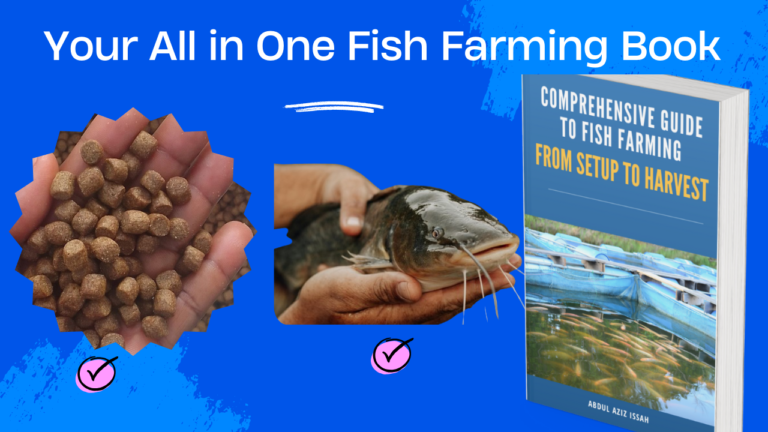 The Secrets to Successful Fish Farming