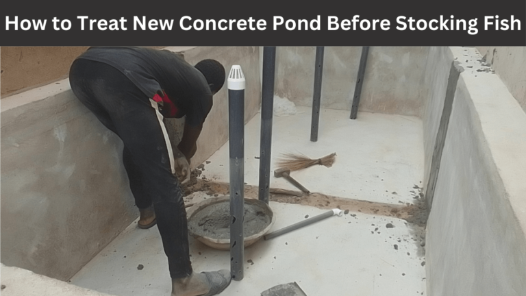 How to Treat New Concrete Pond Before Stocking Fish