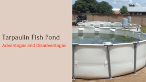 Tarpaulin Fish Pond: advantages and disadvantages