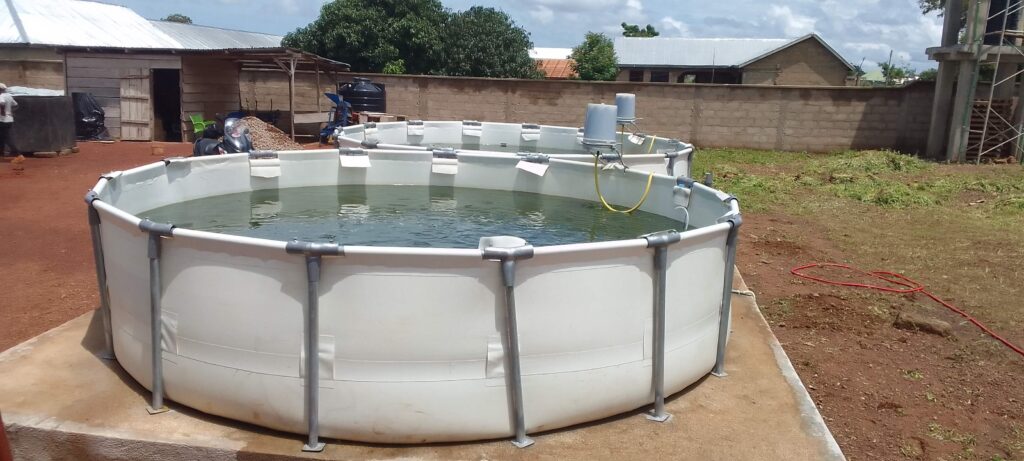 Tarpaulin Fish Pond on concrete platform