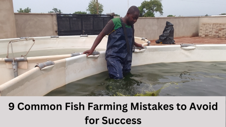 9 Common Fish Farming Mistakes to Avoid for Success.