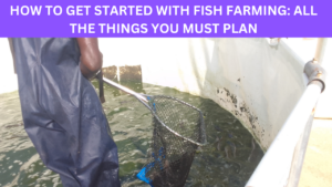 HOW-TO-GET-STARTED-WITH-FISH-FARMING.