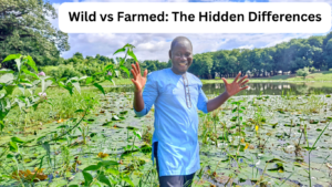 Wild vs Farmed The Hidden Differences