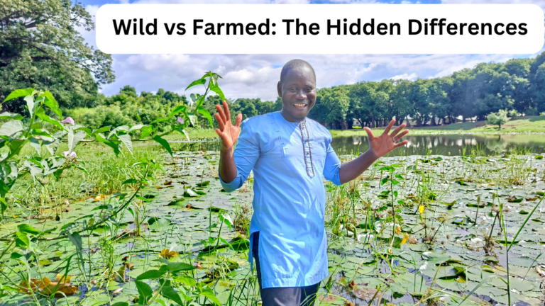 Wild vs Farmed The Hidden Differences