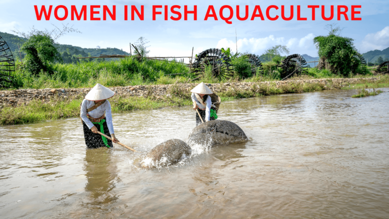 Gender Equality in Fish Farming