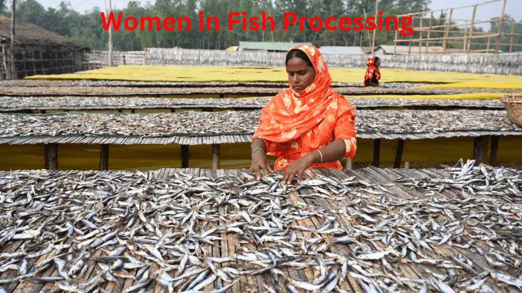 Women in fish farming or fish processes. global fish farming and aquaculture statistics