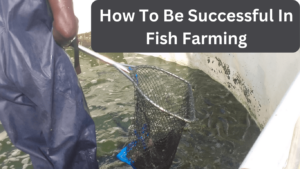 How To Be Successful In Fish Farming: Best fish farming book