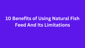 10 Benefits of Using Natural Fish Feed And Its Limitations