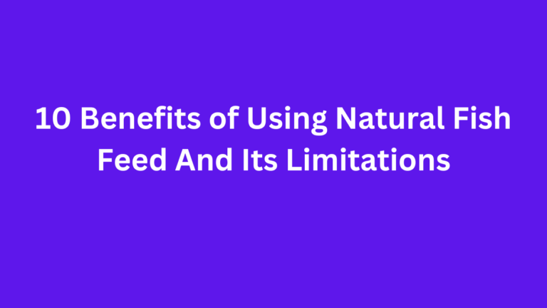 10 Benefits of Using Natural Fish Feed And Its Limitations