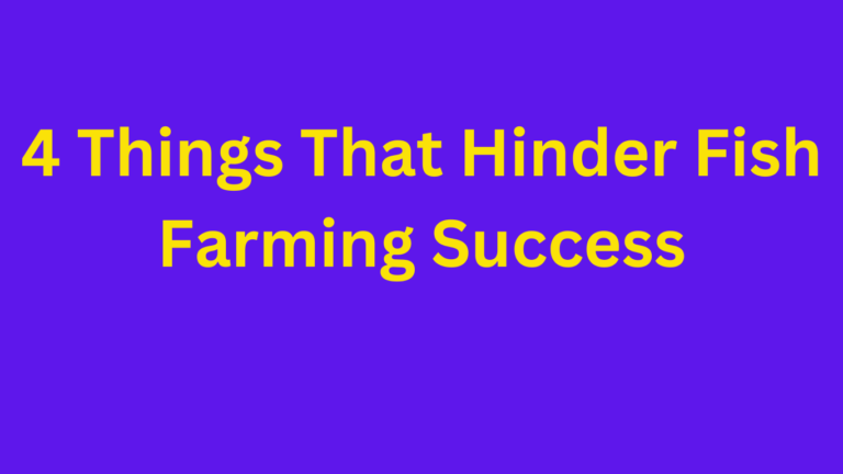 things that hinder fish farming success