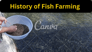 History of Fish farming and aquaculture