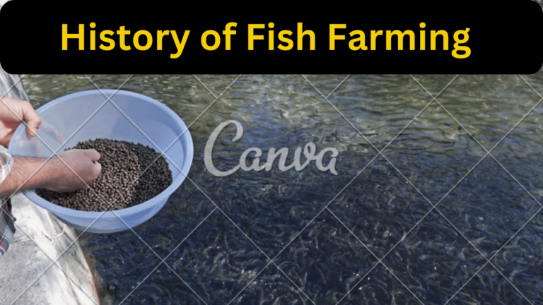 History of Fish farming and aquaculture