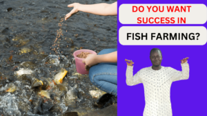 How to Succeed in Fish Farming