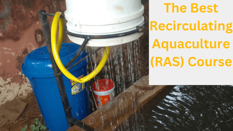 The best Recirculating Aquaculture Systems (RAS) course