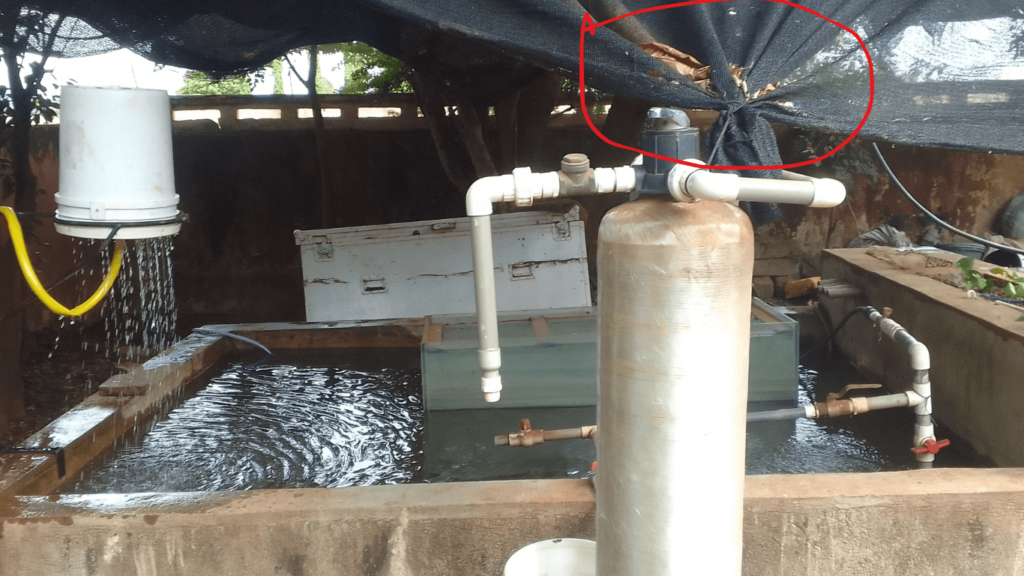 Trees and shade nets to protect fish farm from direct sunlight